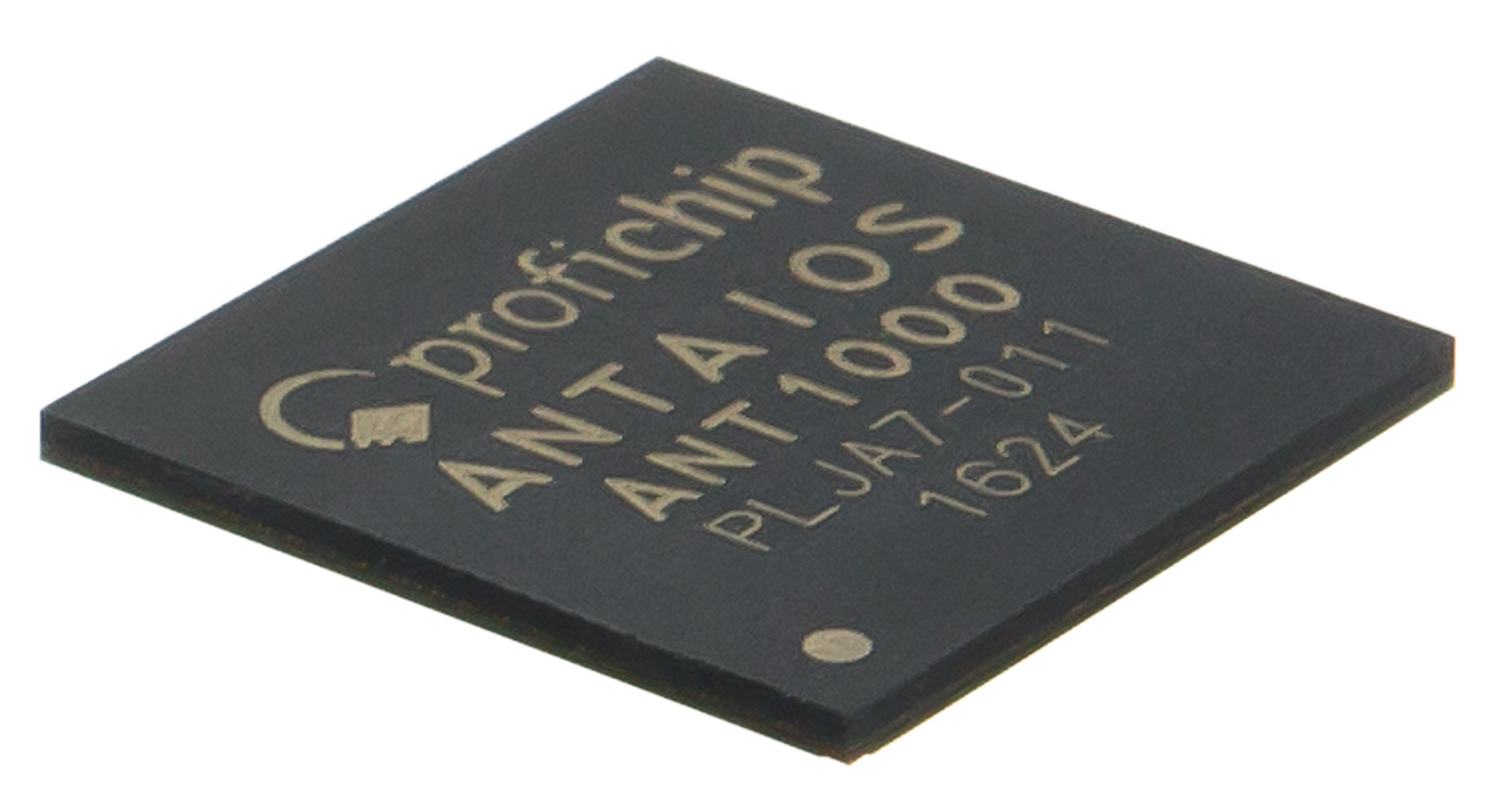 Antaios PLJA7011.png